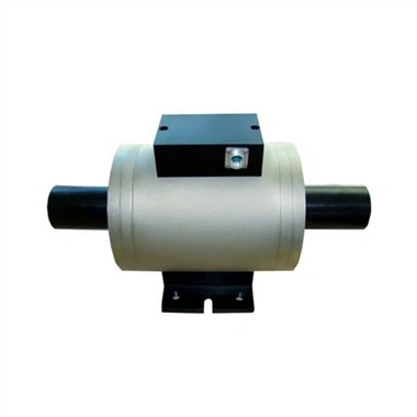 Dynamic Torque Sensor