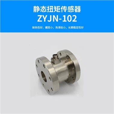 Static Torque Sensor